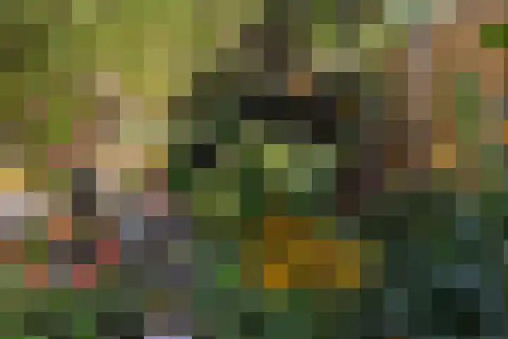 Heeskesacker 2130 Nijmegen thumbnail 24