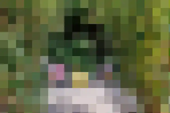 Heeskesacker 2130 Nijmegen thumbnail 25