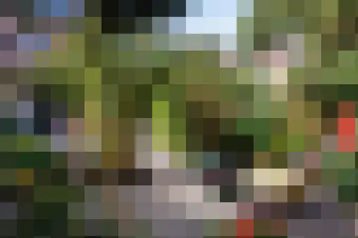 Heeskesacker 2130 Nijmegen thumbnail 26