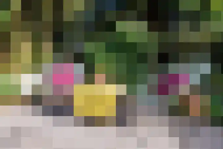 Heeskesacker 2130 Nijmegen thumbnail 27