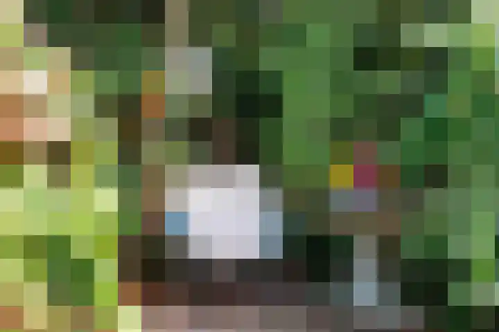 Heeskesacker 2130 Nijmegen thumbnail 28