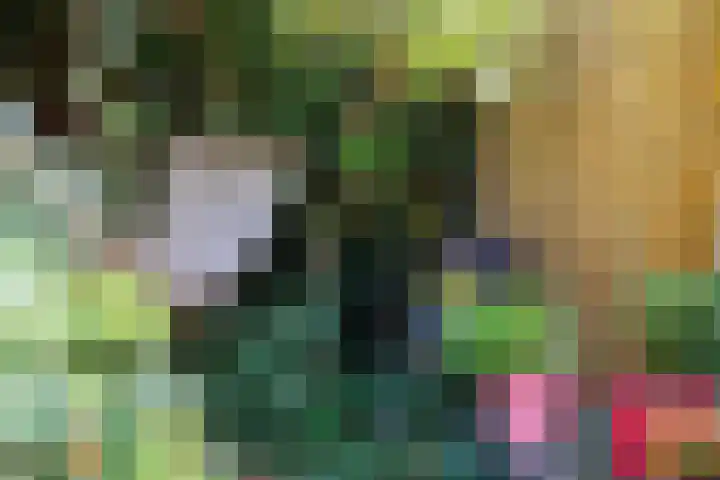 Heeskesacker 2130 Nijmegen thumbnail 29