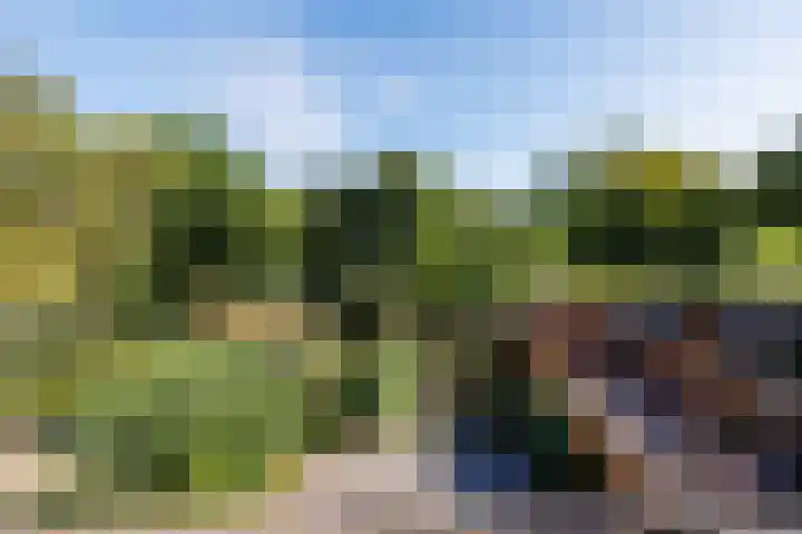 Heeskesacker 2130 Nijmegen thumbnail 31
