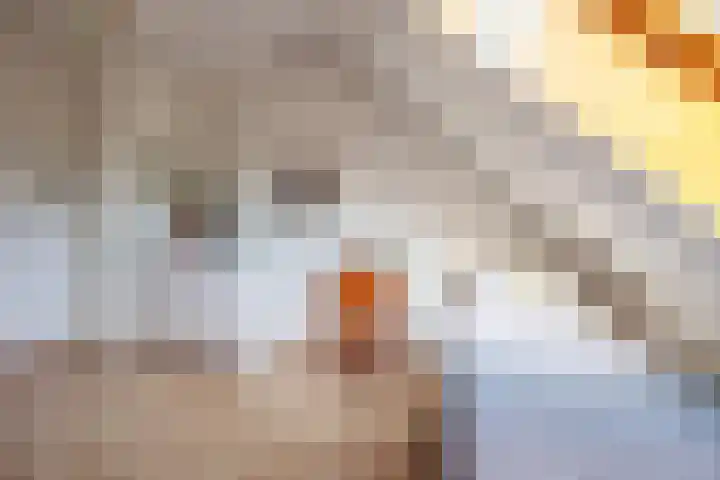 Heeskesacker 2130 Nijmegen thumbnail 36