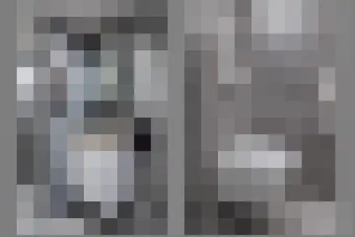 Heeskesacker 2130 Nijmegen thumbnail 38