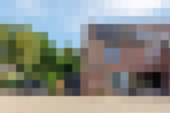 Heeskesacker 2130 Nijmegen thumbnail 4