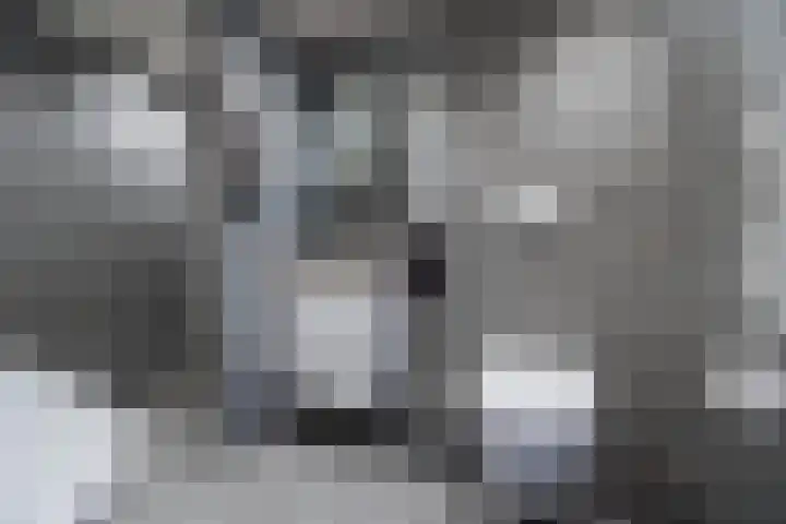 Heeskesacker 2130 Nijmegen thumbnail 40