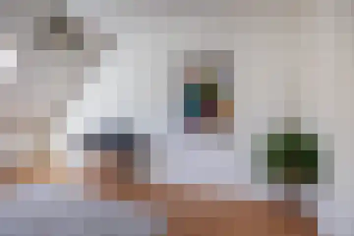 Heeskesacker 2130 Nijmegen thumbnail 42