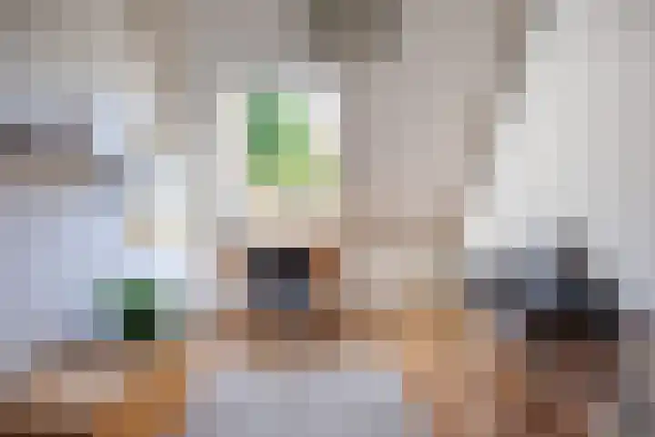 Heeskesacker 2130 Nijmegen thumbnail 43