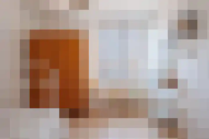 Heeskesacker 2130 Nijmegen thumbnail 46