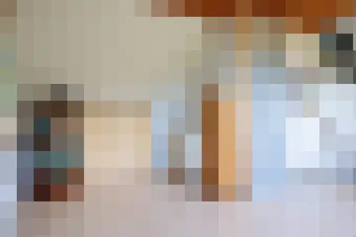 Heeskesacker 2130 Nijmegen thumbnail 49