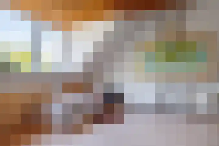 Heeskesacker 2130 Nijmegen thumbnail 50