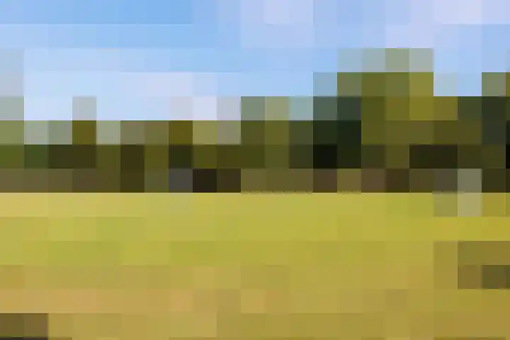 Heeskesacker 2130 Nijmegen thumbnail 57