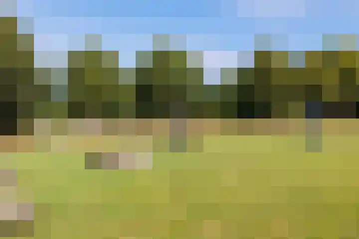 Heeskesacker 2130 Nijmegen thumbnail 58