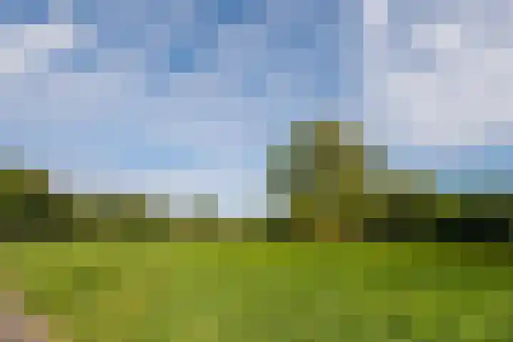 Heeskesacker 2130 Nijmegen thumbnail 60