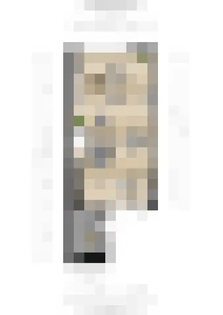 Heeskesacker 2130 Nijmegen thumbnail 62