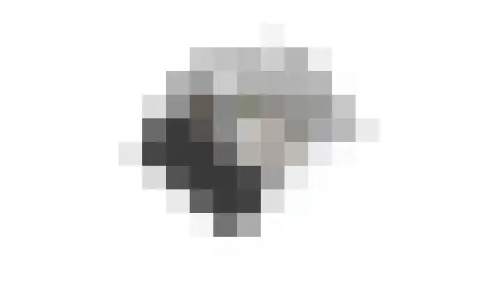Heeskesacker 2130 Nijmegen thumbnail 67