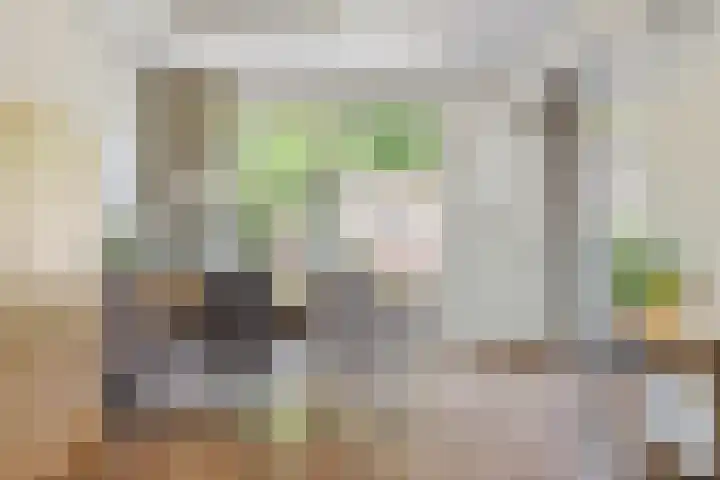 Heesterbos 13 Teteringen thumbnail 20