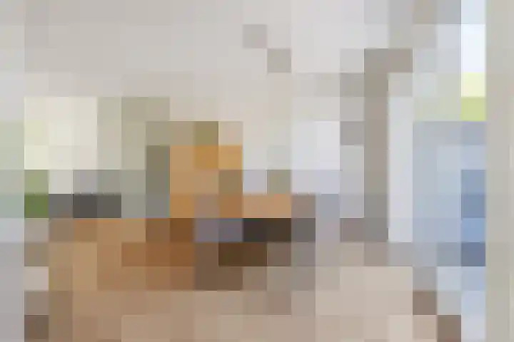 Heesterbos 13 Teteringen thumbnail 21