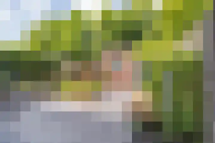 Heesterbos 13 Teteringen thumbnail 45