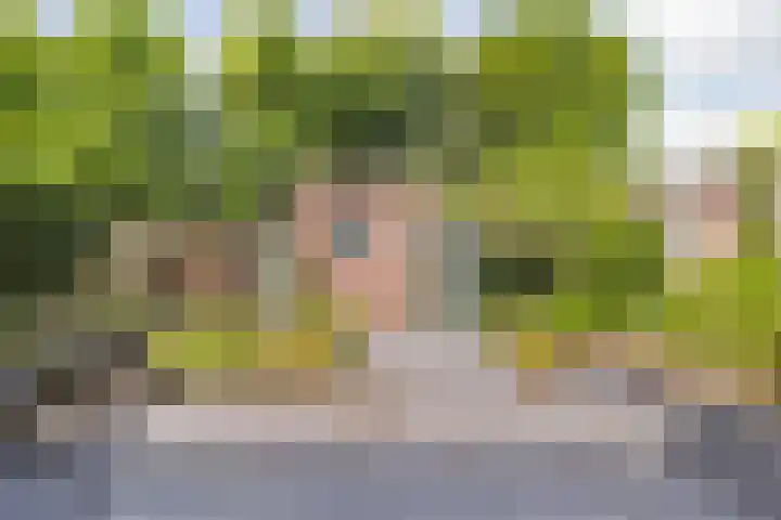 Heesterbos 13 Teteringen thumbnail 46