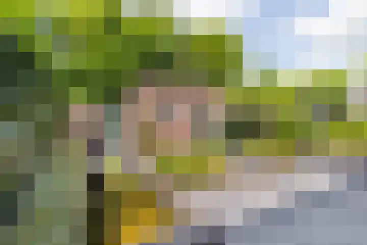 Heesterbos 13 Teteringen thumbnail 47