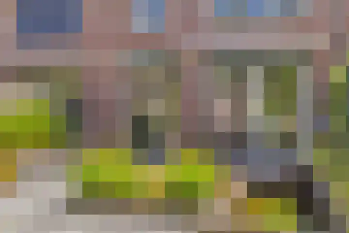 Heesterbos 13 Teteringen thumbnail 49