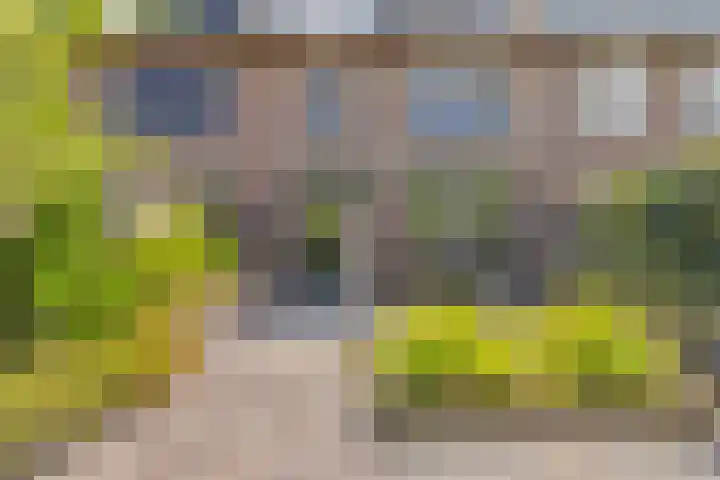 Heesterbos 13 Teteringen thumbnail 50