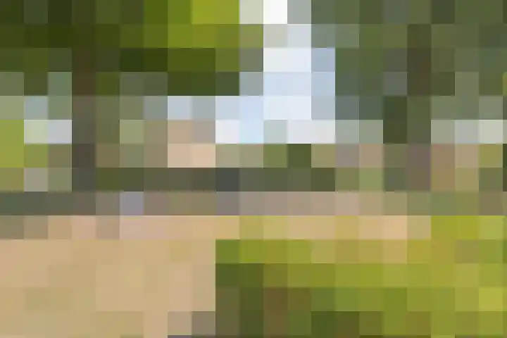 Heesterbos 13 Teteringen thumbnail 51