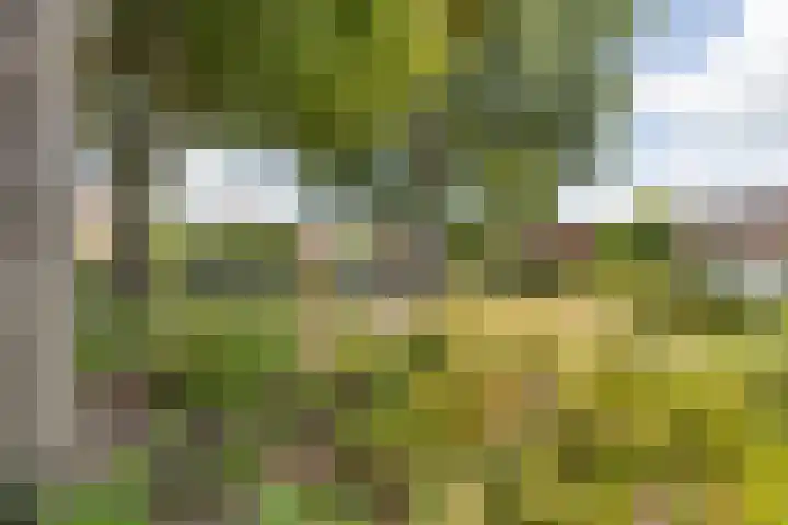 Heesterbos 13 Teteringen thumbnail 52