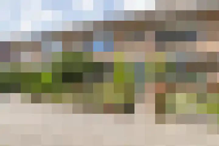 Heesterbos 13 Teteringen thumbnail 6
