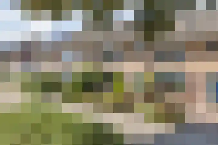 Heesterbos 13 Teteringen thumbnail 7