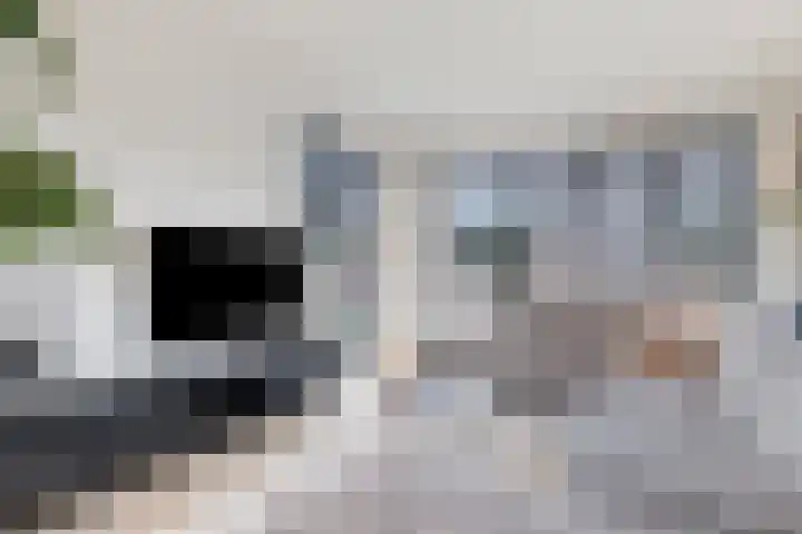 Heesterbosch 2 Boekel thumbnail 11