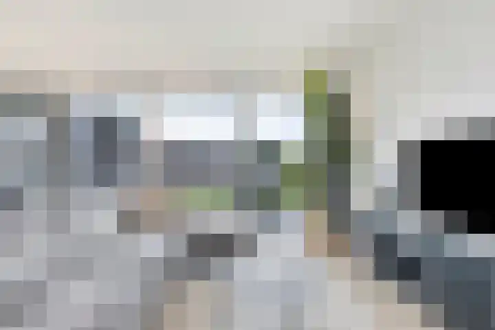 Heesterbosch 2 Boekel thumbnail 13
