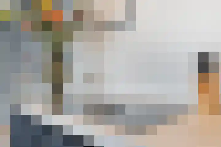 Heesterbosch 2 Boekel thumbnail 17
