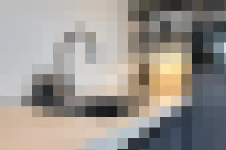 Heesterbosch 2 Boekel thumbnail 19