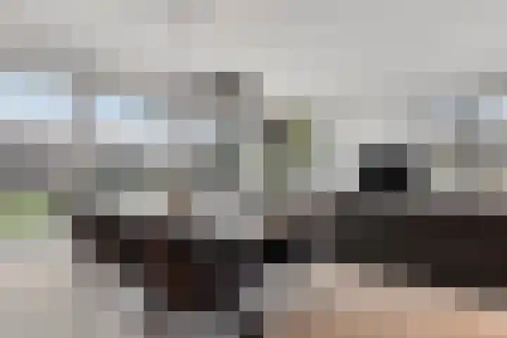 Heesterbosch 2 Boekel thumbnail 20