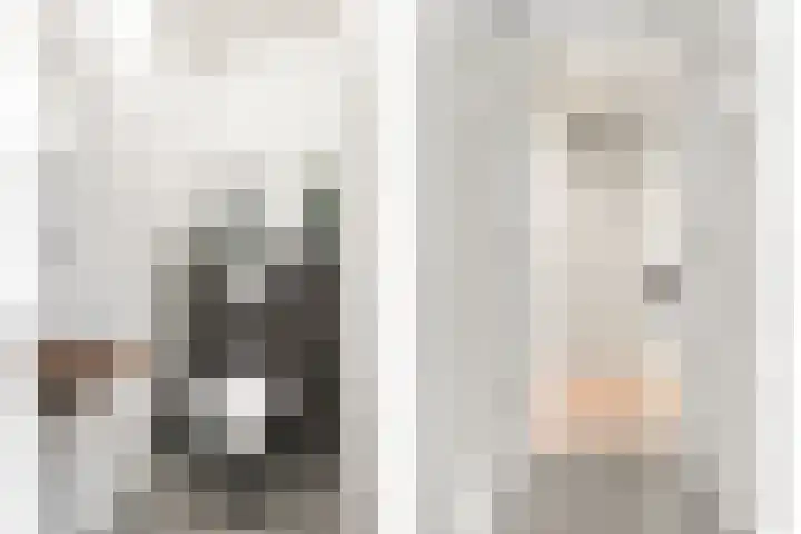 Heesterbosch 2 Boekel thumbnail 22