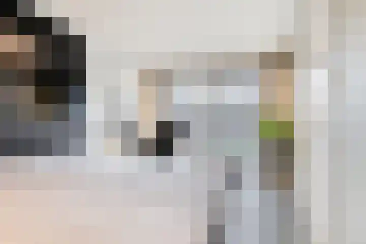 Heesterbosch 2 Boekel thumbnail 24