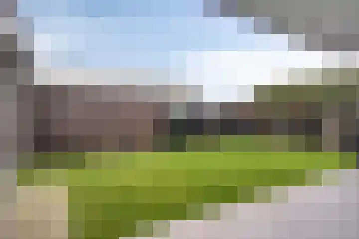 Heesterbosch 2 Boekel thumbnail 35