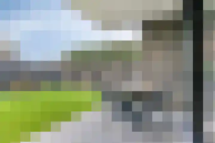Heesterbosch 2 Boekel thumbnail 36