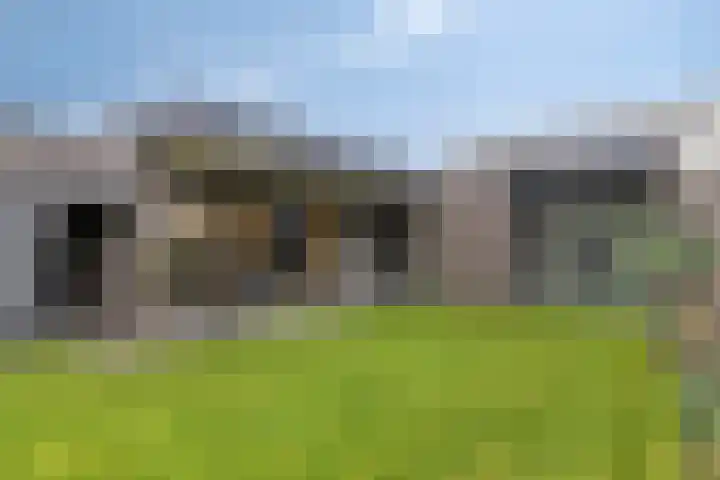 Heesterbosch 2 Boekel thumbnail 38