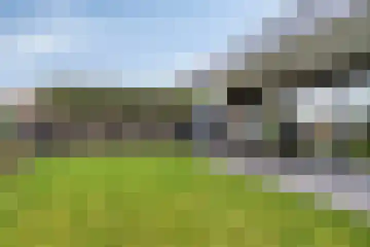 Heesterbosch 2 Boekel thumbnail 39