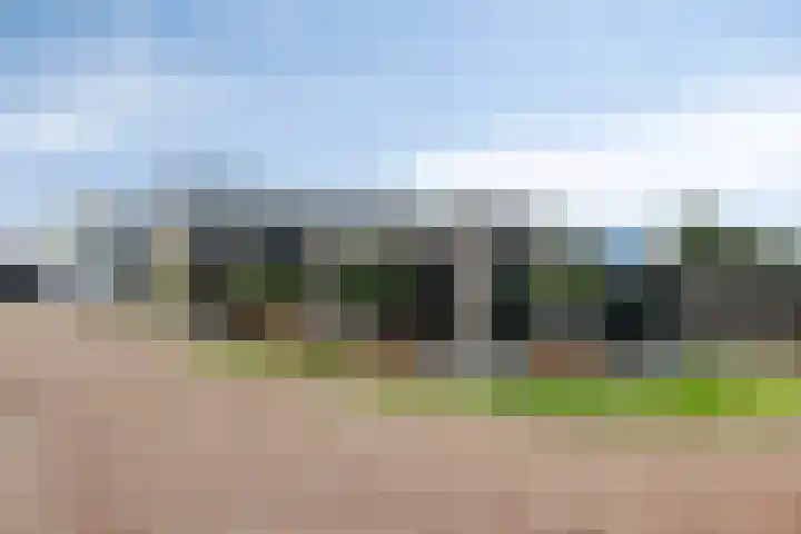 Heesterbosch 2 Boekel thumbnail 4