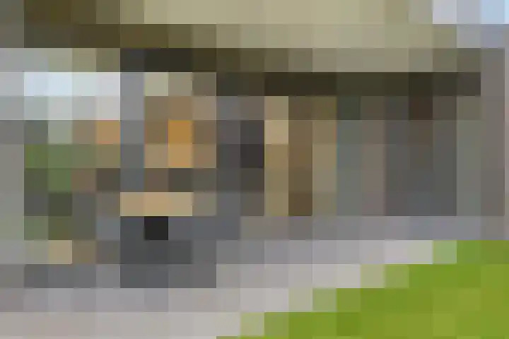 Heesterbosch 2 Boekel thumbnail 40