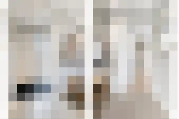 Heesterbosch 2 Boekel thumbnail 8