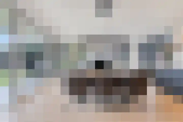Heesterbosch 2 Boekel thumbnail 9