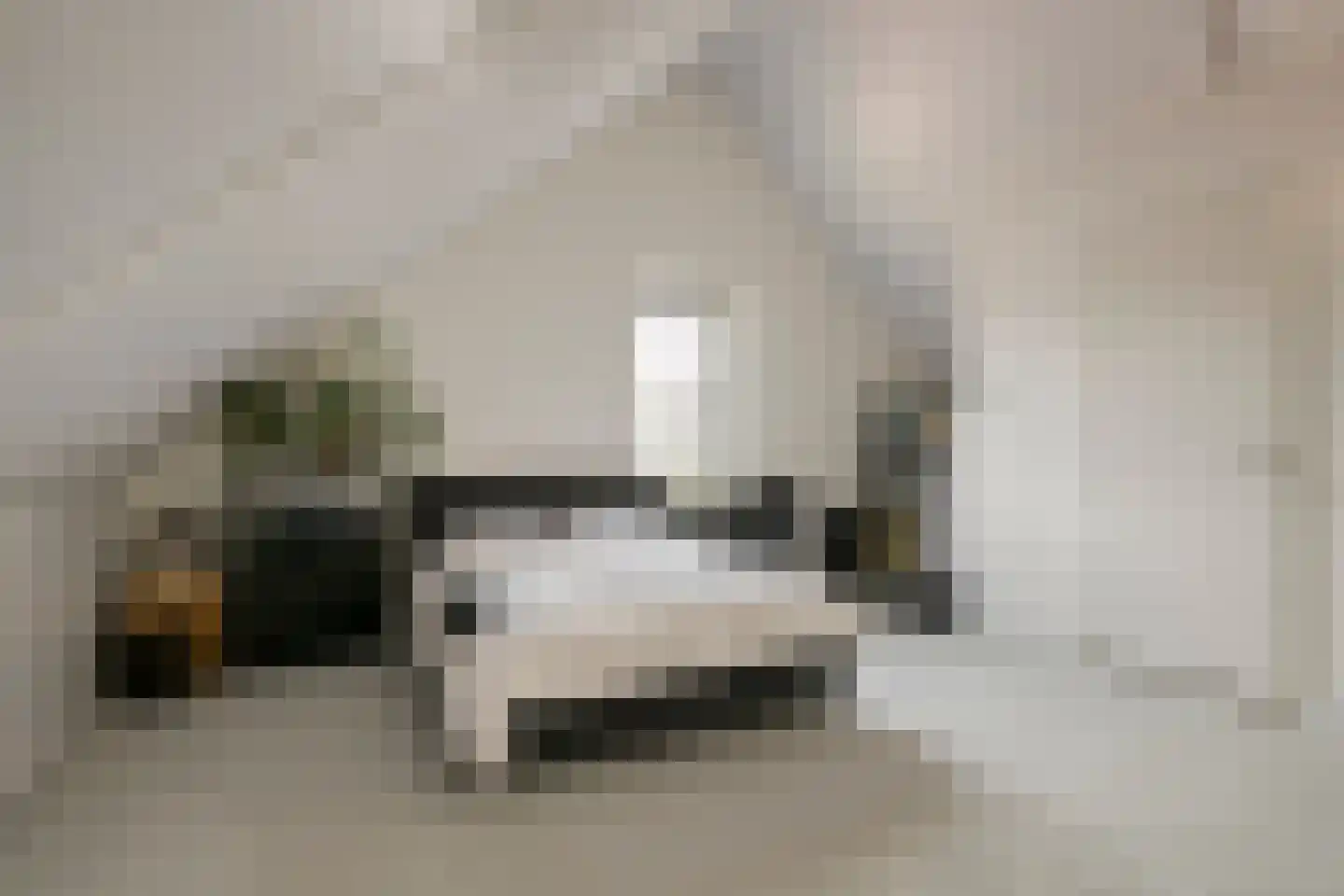 Heesterburgh 18 's-Hertogenbosch thumbnail 28