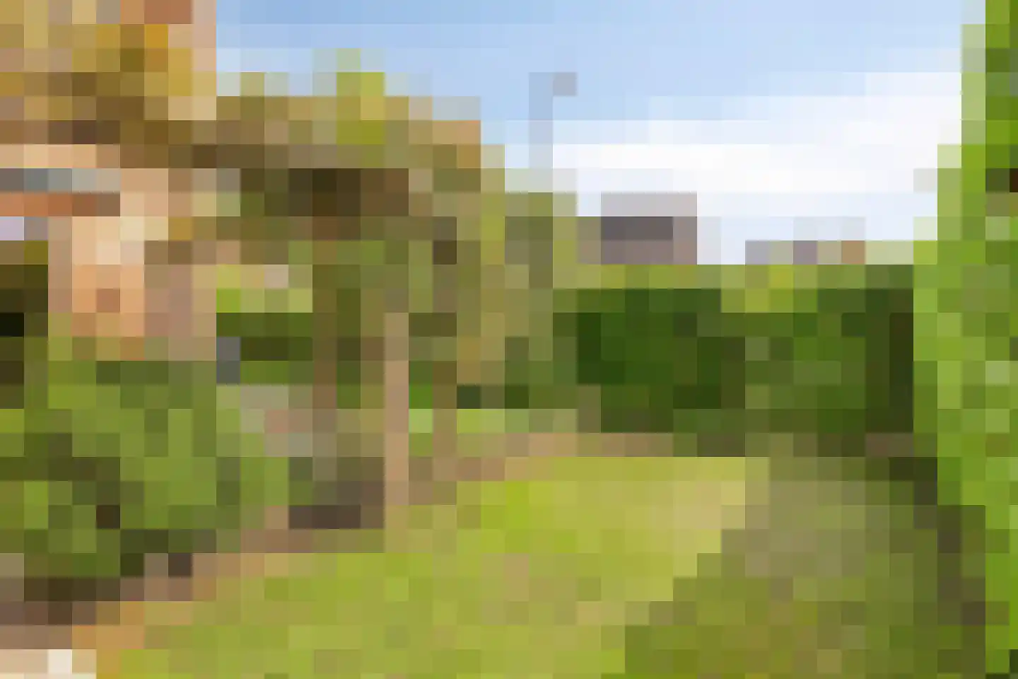 Heesterburgh 18 's-Hertogenbosch thumbnail 32