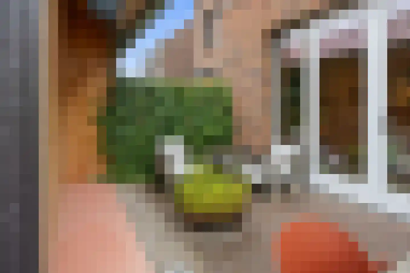 Heesterburgh 22 's-Hertogenbosch thumbnail 24